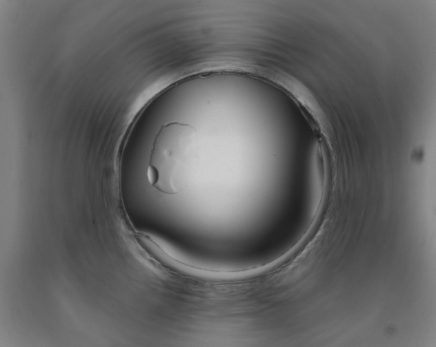 X0000091981242200709271421