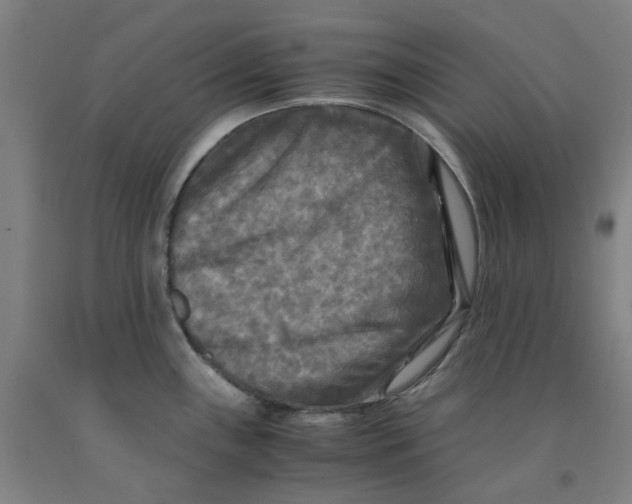 X0000091981243200709271421