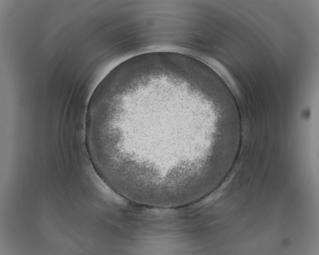 X0000091981244200709271421