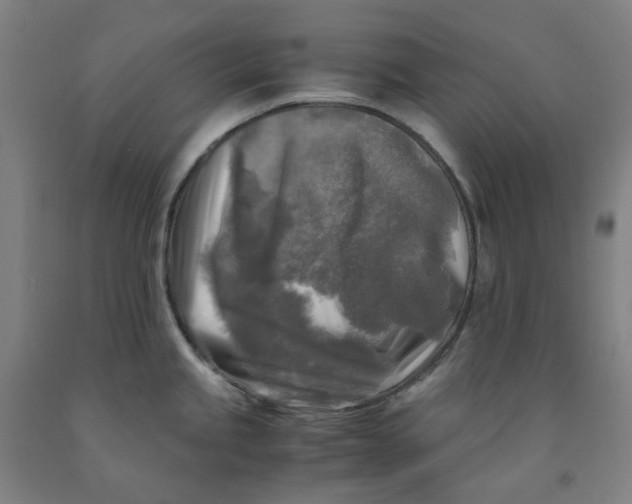 X0000091981245200709271421