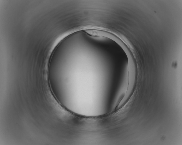 X0000091981246200709271421