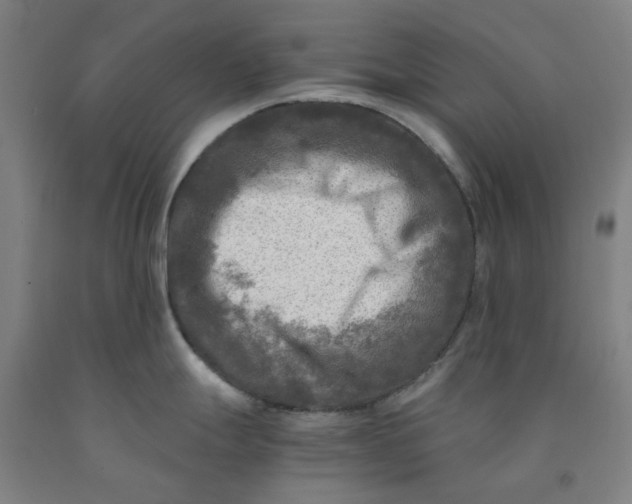 X0000091981247200709271421