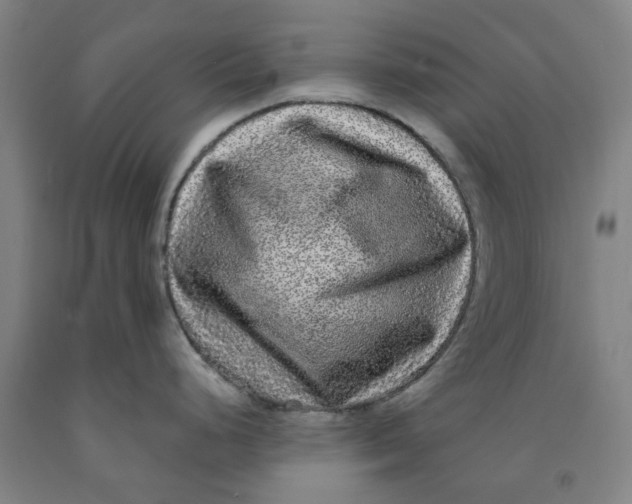 X0000091981248200709271421