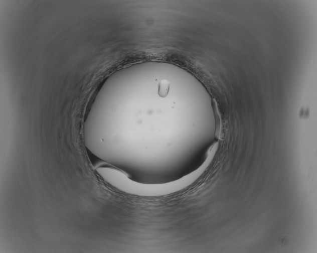 X0000091981249200709271420