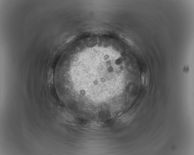 X0000091981251200709271420