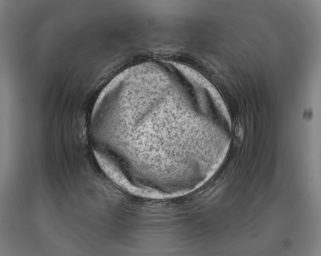 X0000091981252200709271420