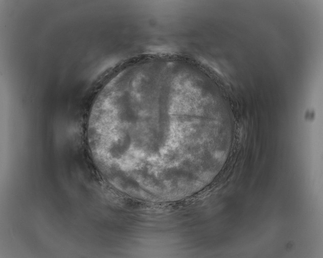 X0000091981254200709271420