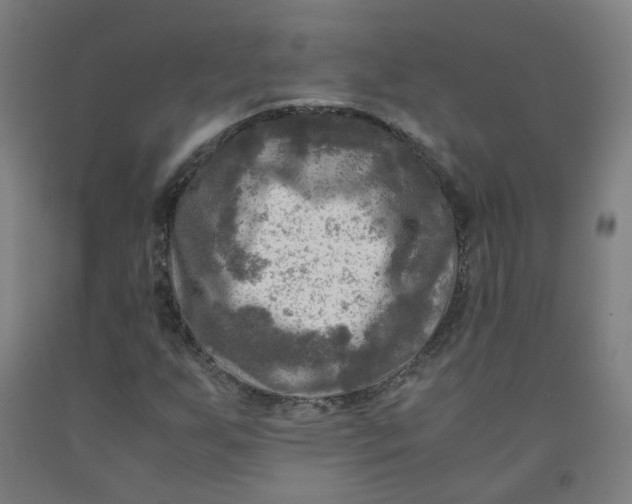 X0000091981255200709271420