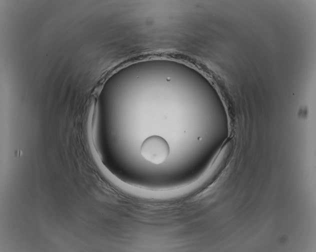 X0000091981257200709271420