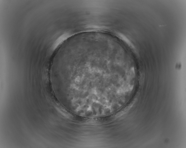 X0000091981259200709271420