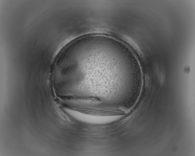 X0000091981260200709271420