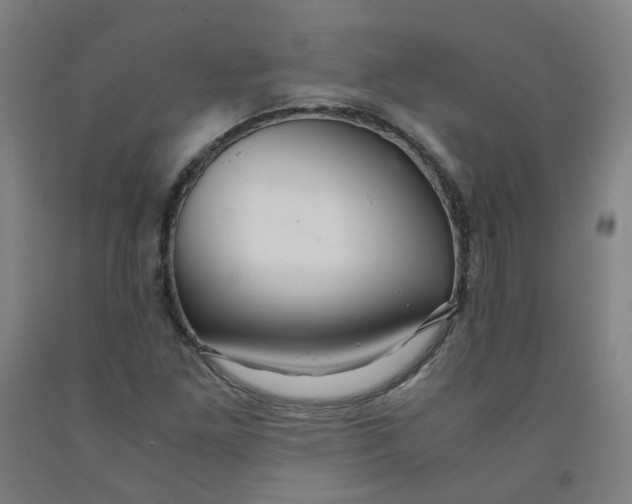 X0000091981261200709271420