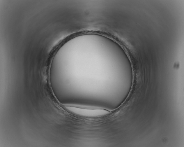 X0000091981262200709271420