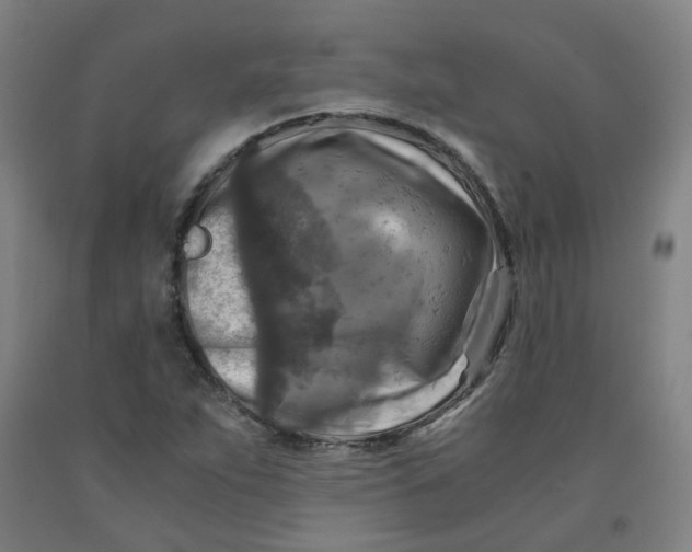 X0000091981263200709271420