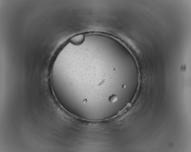 X0000091981264200709271420