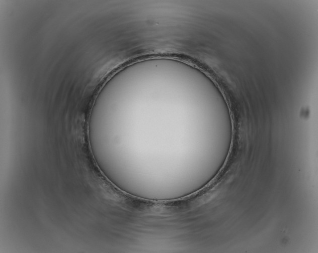 X0000091981265200709271420