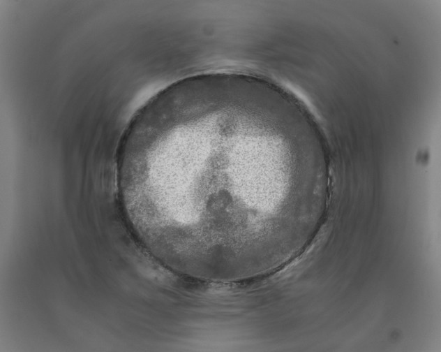 X0000091981267200709271420