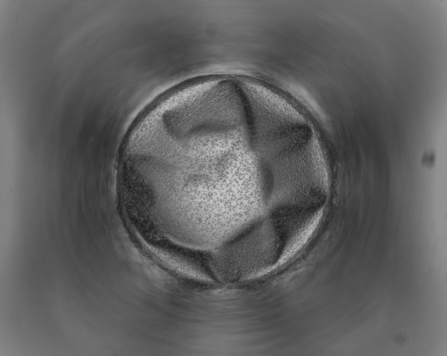 X0000091981268200709271420