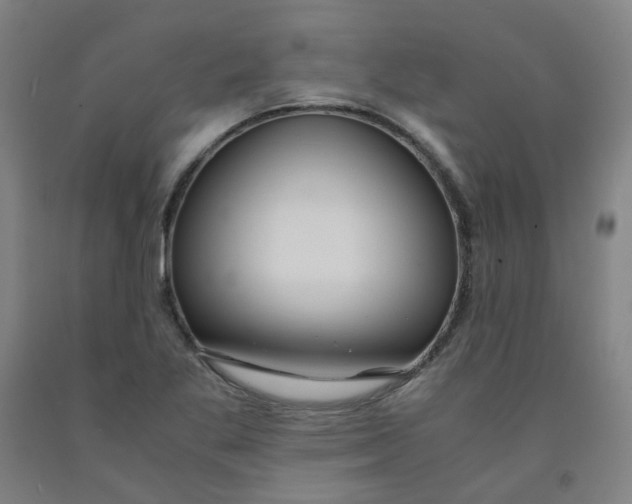 X0000091981269200709271420