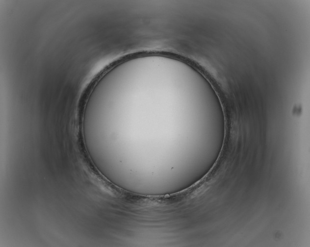 X0000091981270200709271420