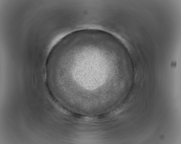 X0000091981271200709271420