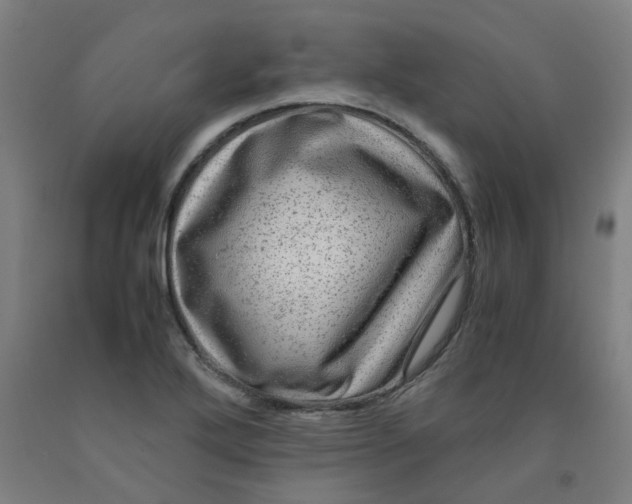 X0000091981272200709271420