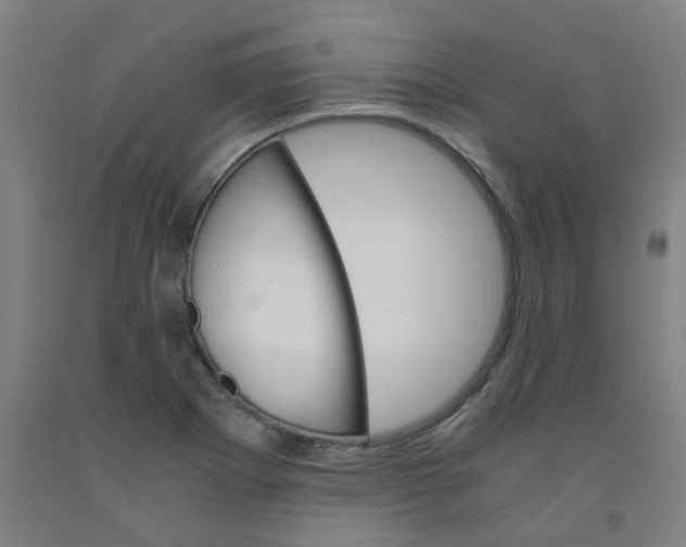 X0000091981273200709271420