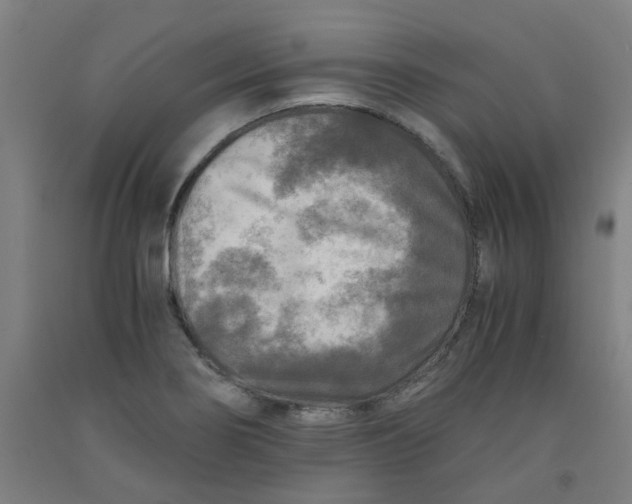 X0000091981274200709271420