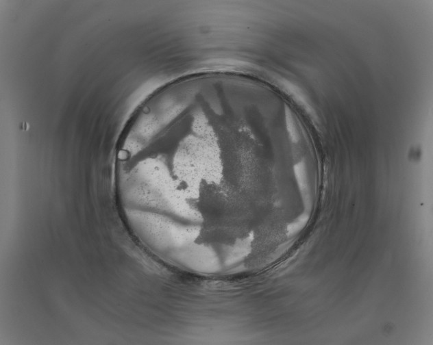 X0000091981275200709271420