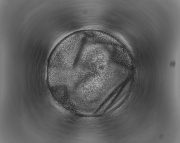 X0000091981276200709271420