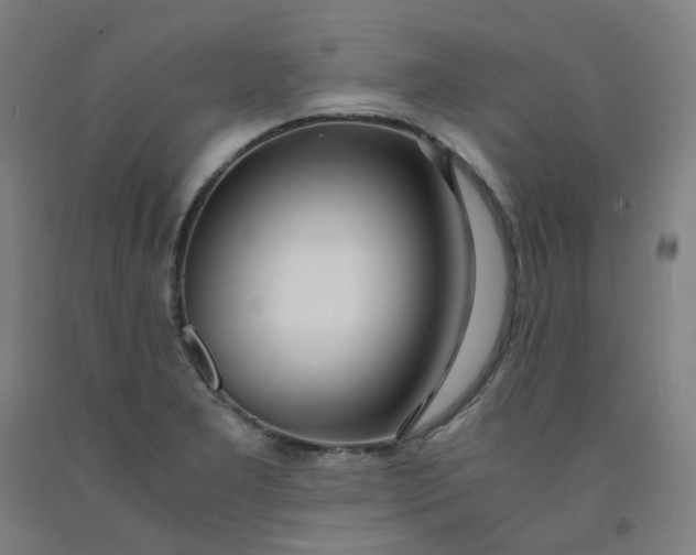 X0000091981277200709271420