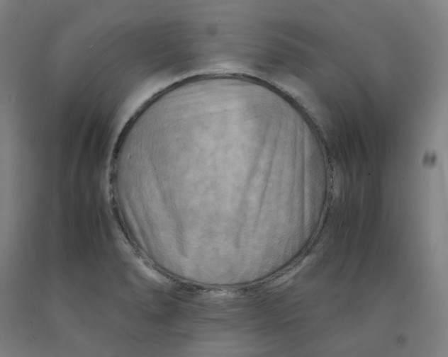 X0000091981278200709271420