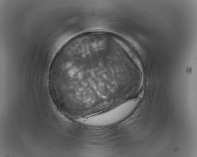 X0000091981279200709271420