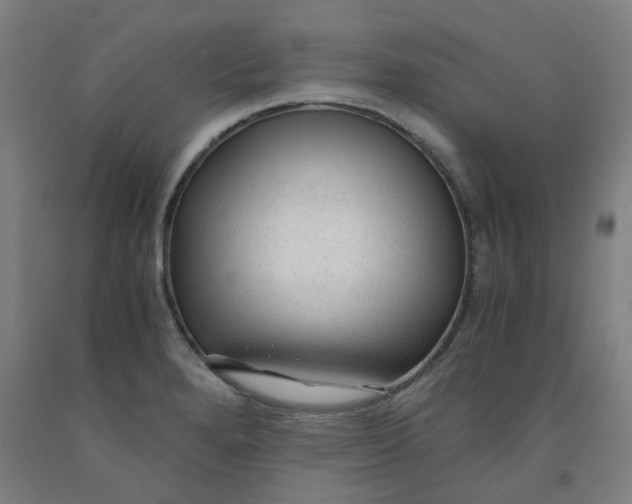 X0000091981280200709271420