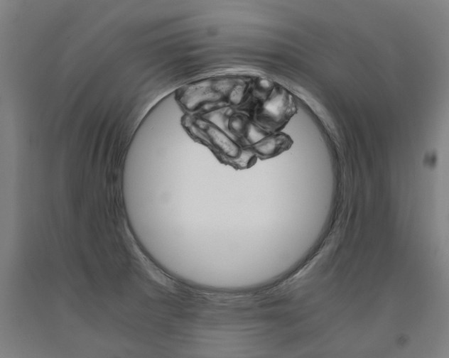 X0000091981281200709271420