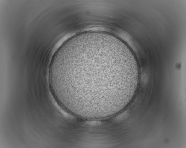 X0000091981282200709271419