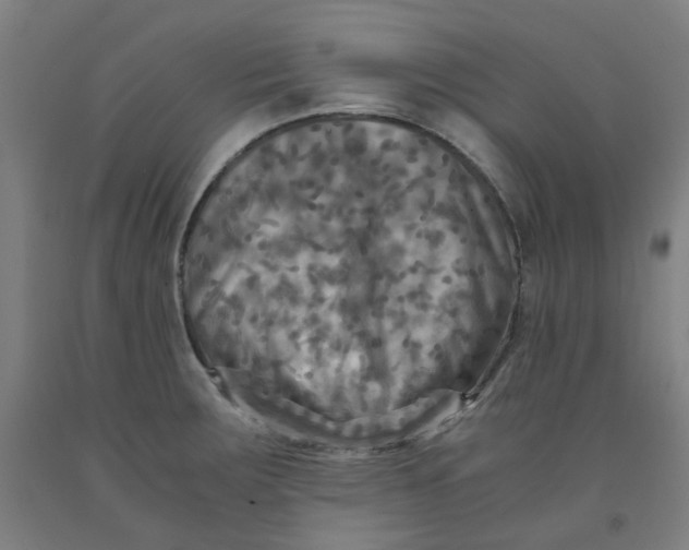 X0000091981283200709271419