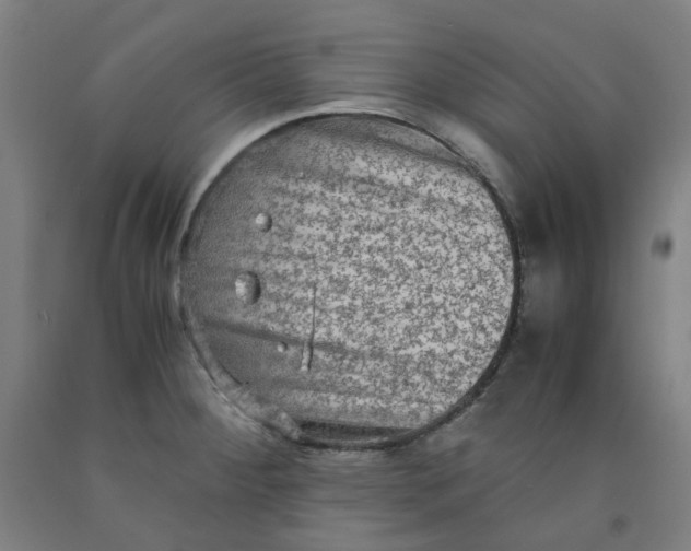 X0000091981284200709271419