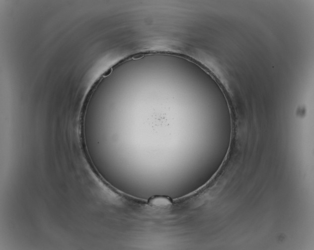 X0000091981285200709271419