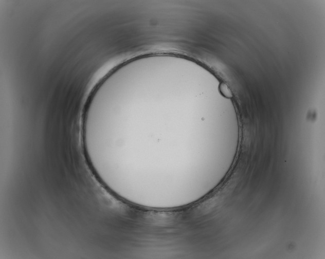 X0000091981286200709271419