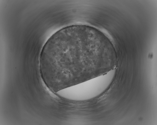 X0000091981287200709271419