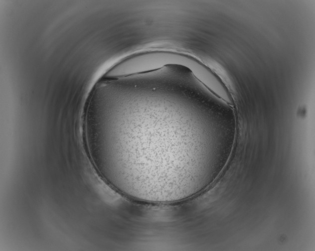 X0000091981288200709271419