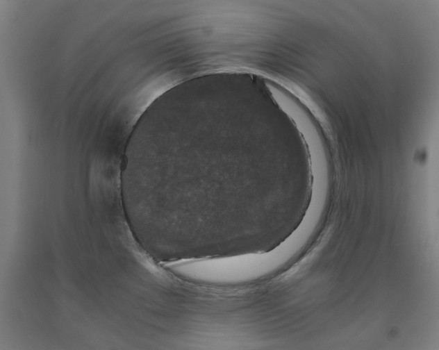 X0000091981289200709271419