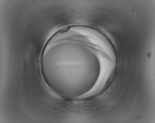 X0000091981291200709271419