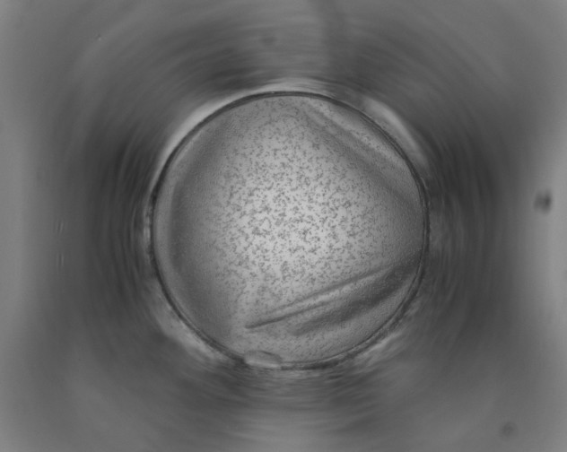 X0000091981292200709271419