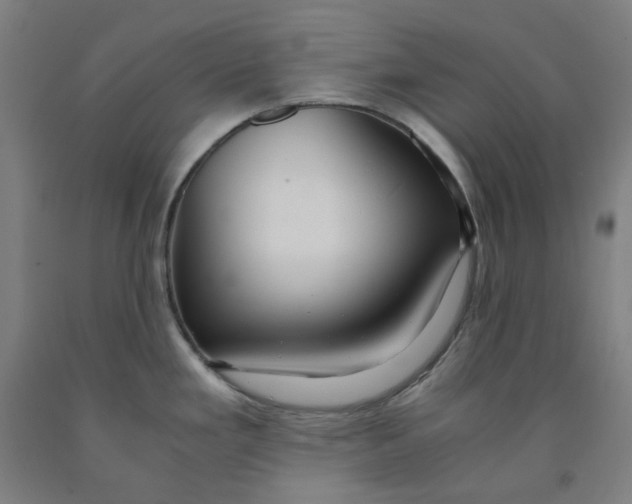 X0000091981293200709271419