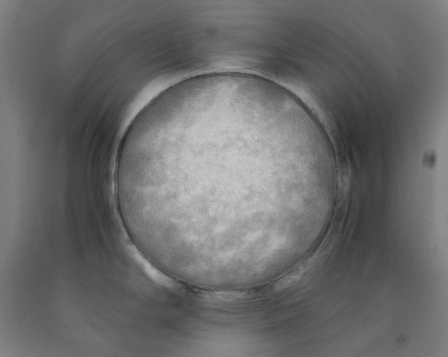 X0000091981294200709271419