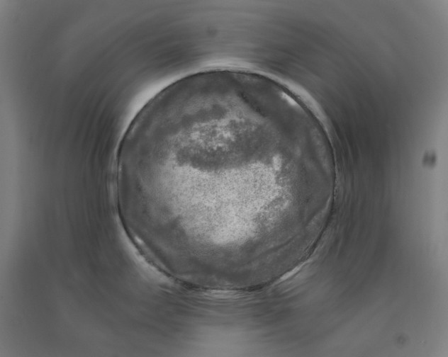 X0000091981295200709271419