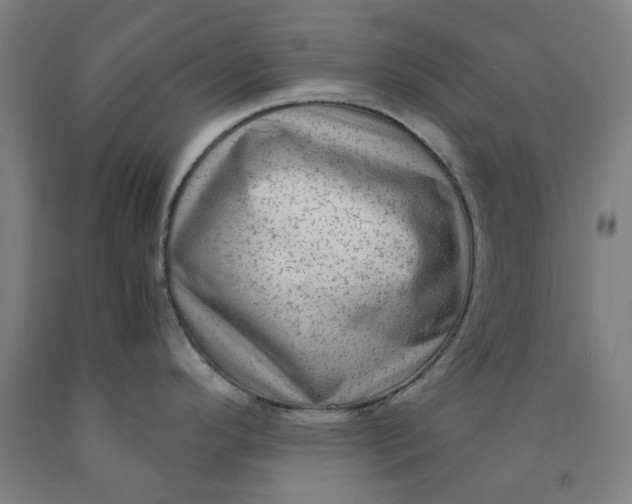 X0000091981296200709271419