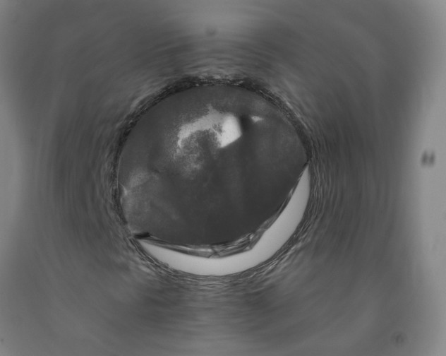 X0000091981297200709271419